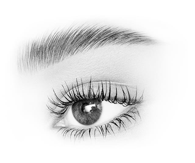 Grey close-up of an eye