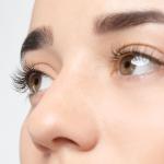 Eyelashes Explained. All You Should Know About Structure and Functions of Lashes to Take the Best Care of Them